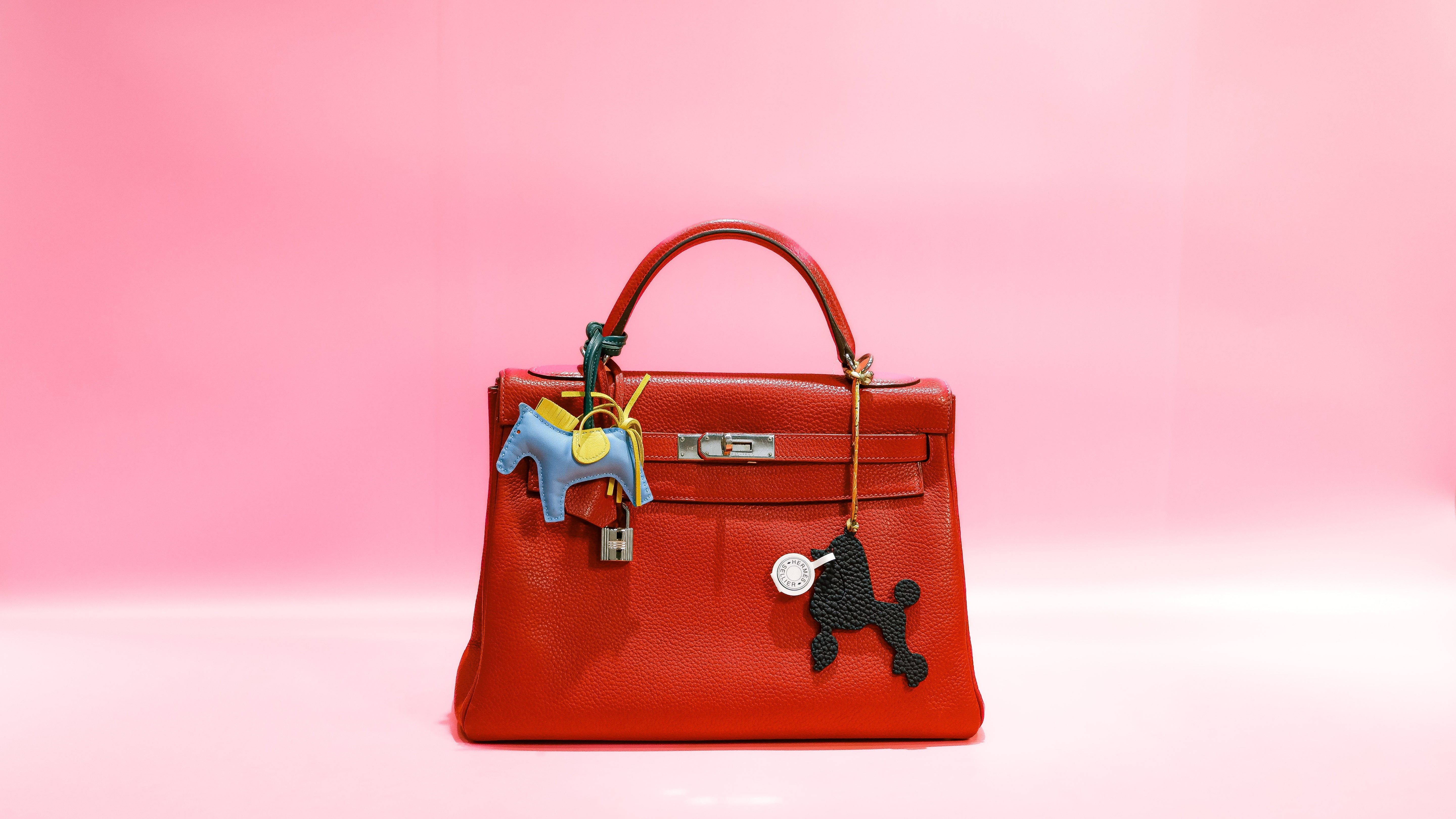 Hermes Birkin (Red)