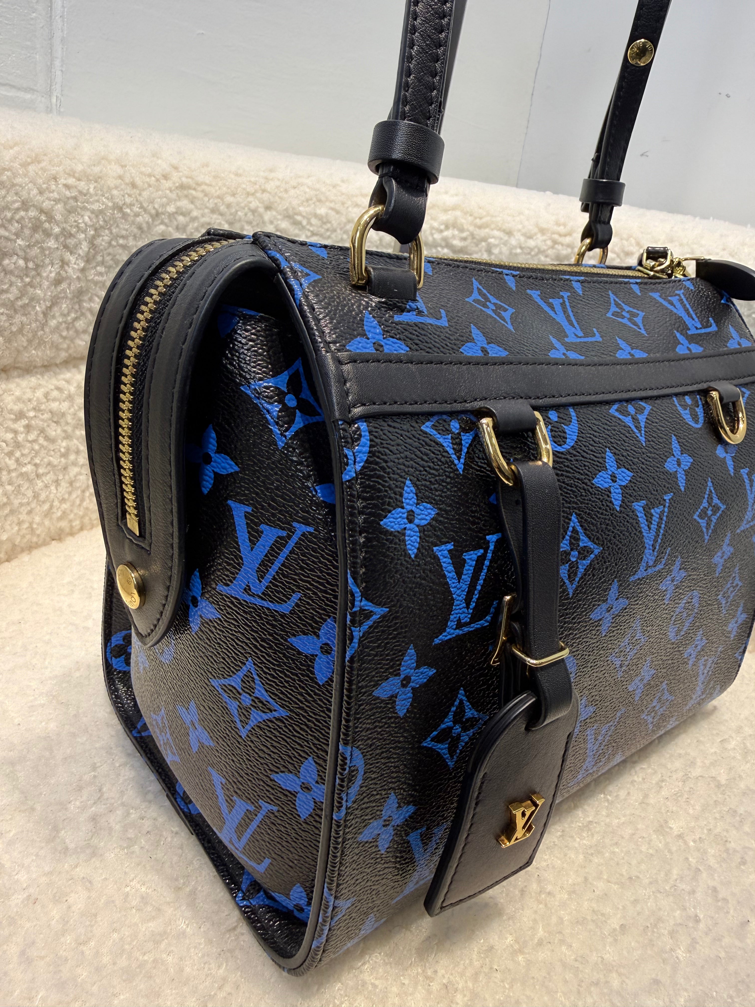 Louis Vuitton Speedy Amazon Pm