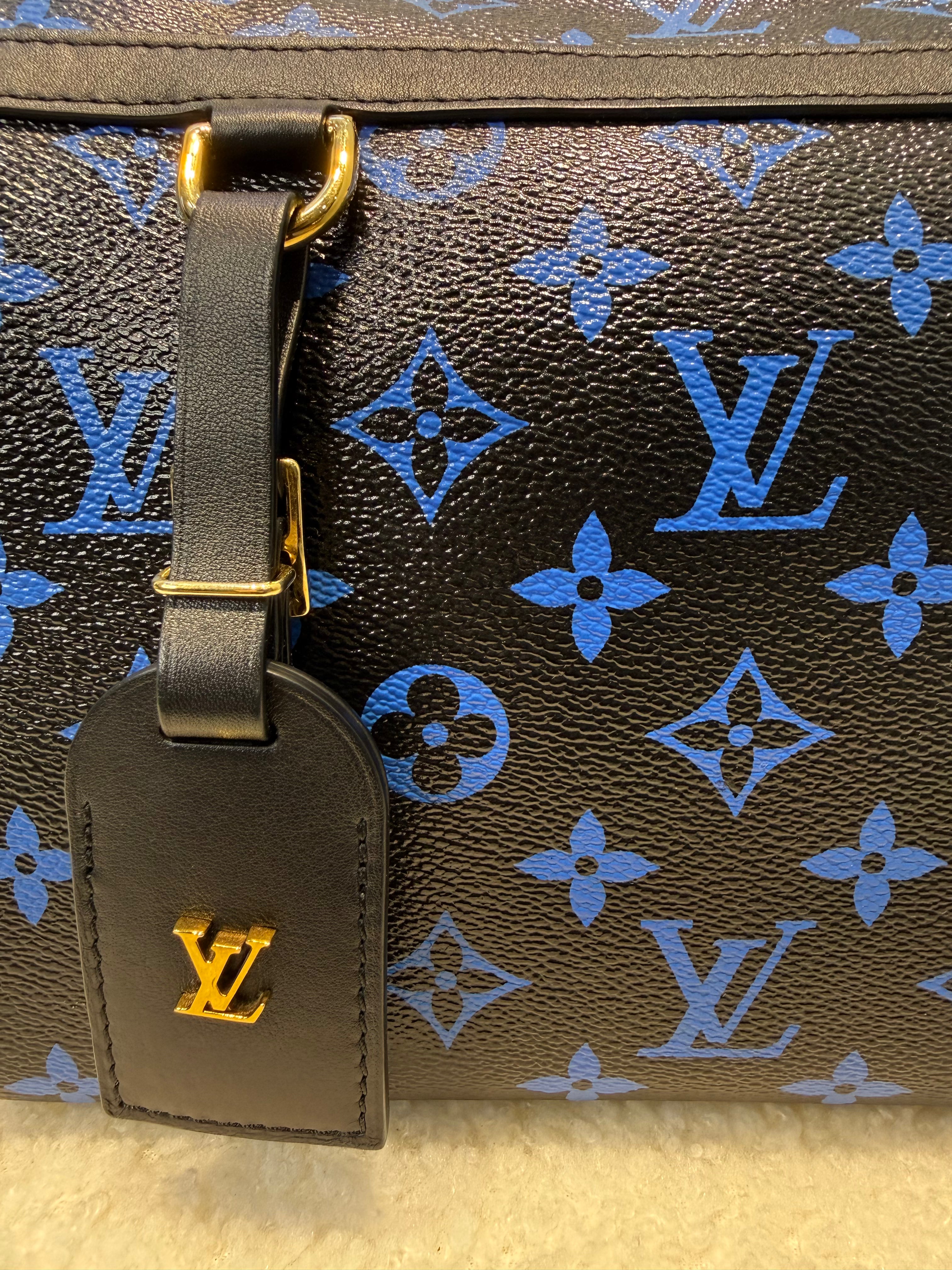 Louis Vuitton Speedy Amazon Pm