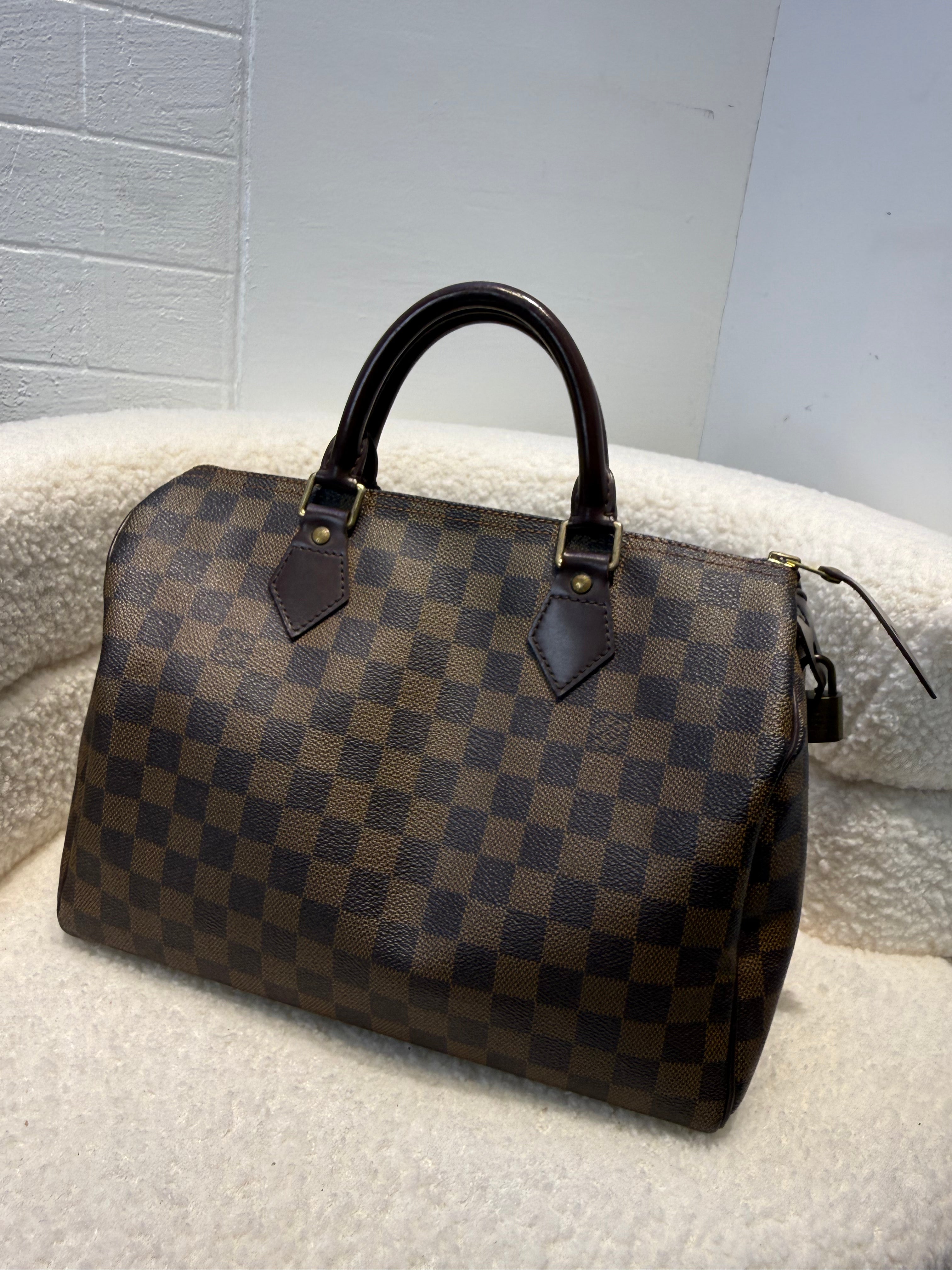 Louis Vuitton Speedy 30 Bag in Damier Ebene