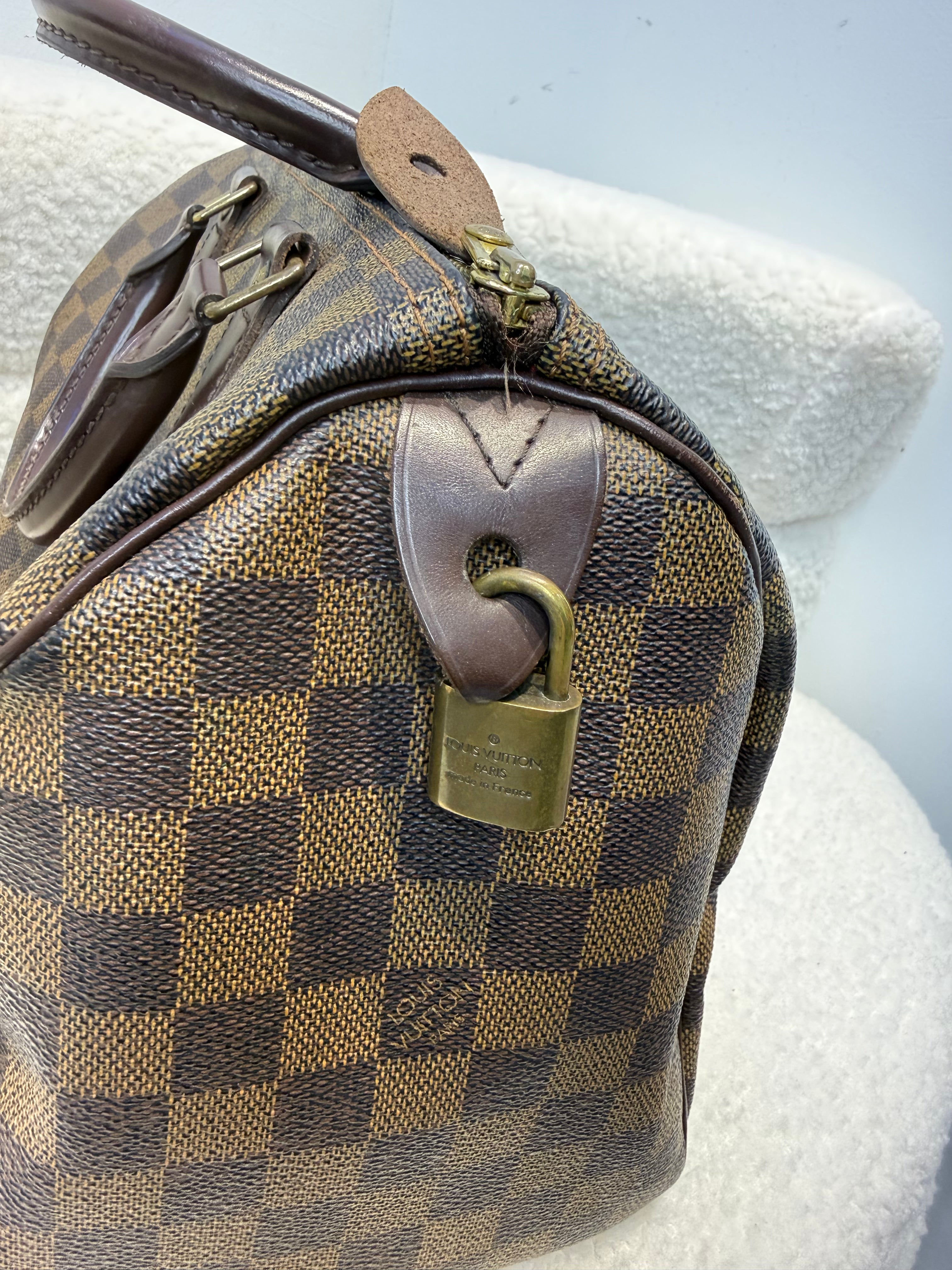 Louis Vuitton Speedy 30 Bag in Damier Ebene